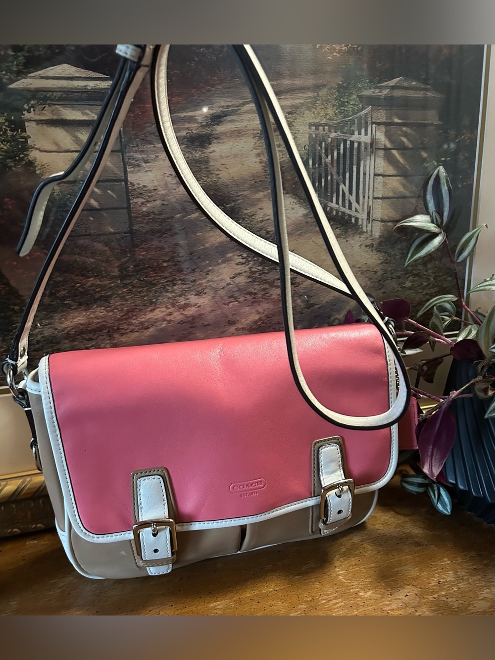 Coach Park Colorblock Leather Crossbody Satchel Bag